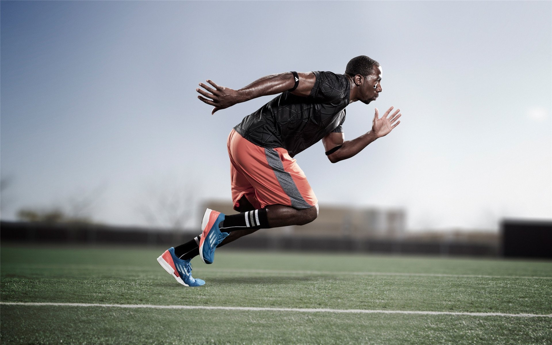 F1新规则引发车队技术革命,f1车辆规则