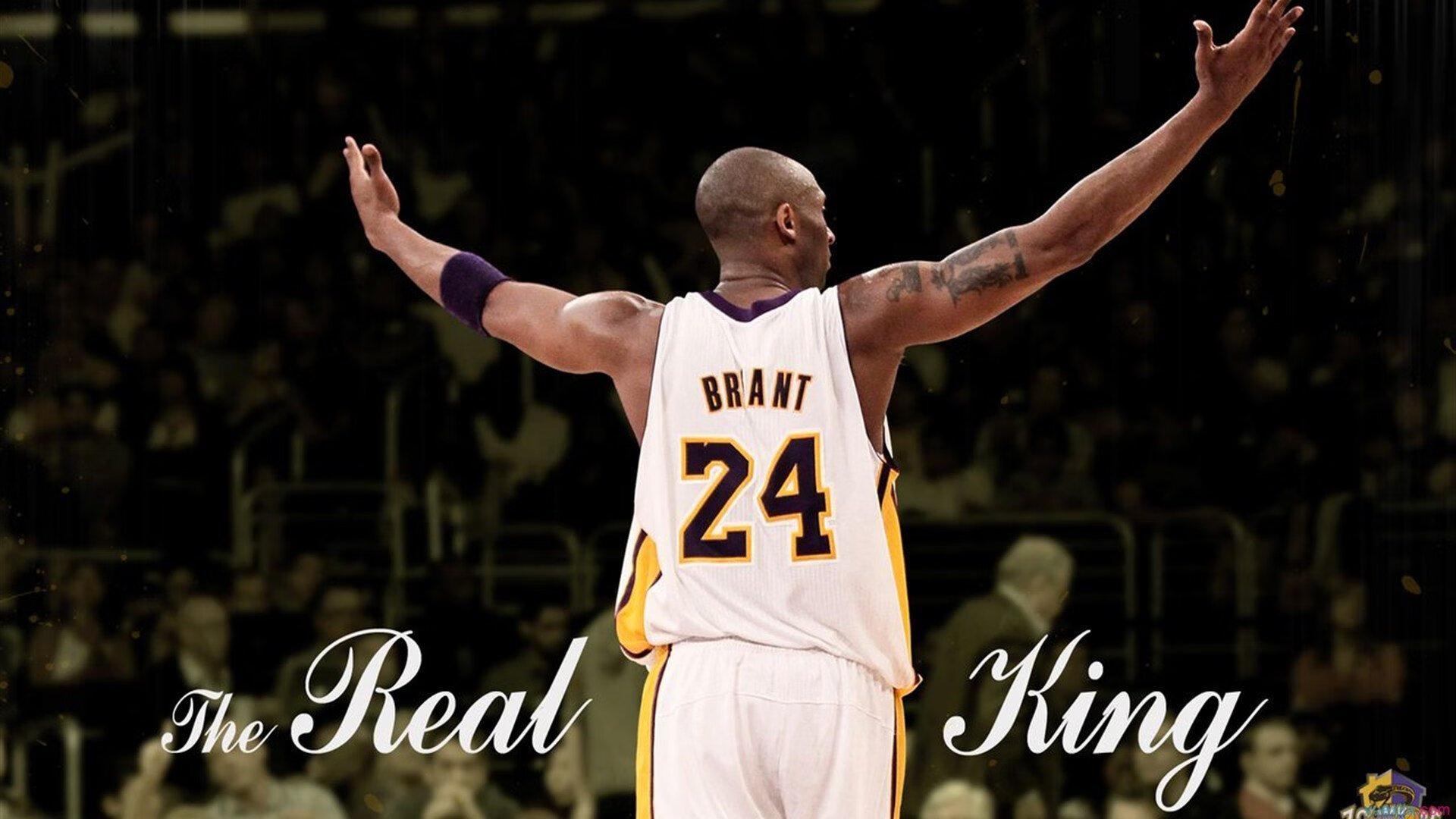 _湖人队新签约表现亮眼，队友盛赞_，湖人刚刚签约了谁